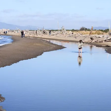 La Meria Di Maria Rosa *